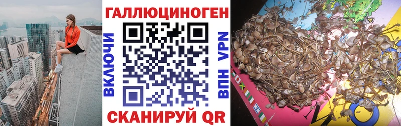 Псилоцибиновые грибы ЛСД  купить   Находка 