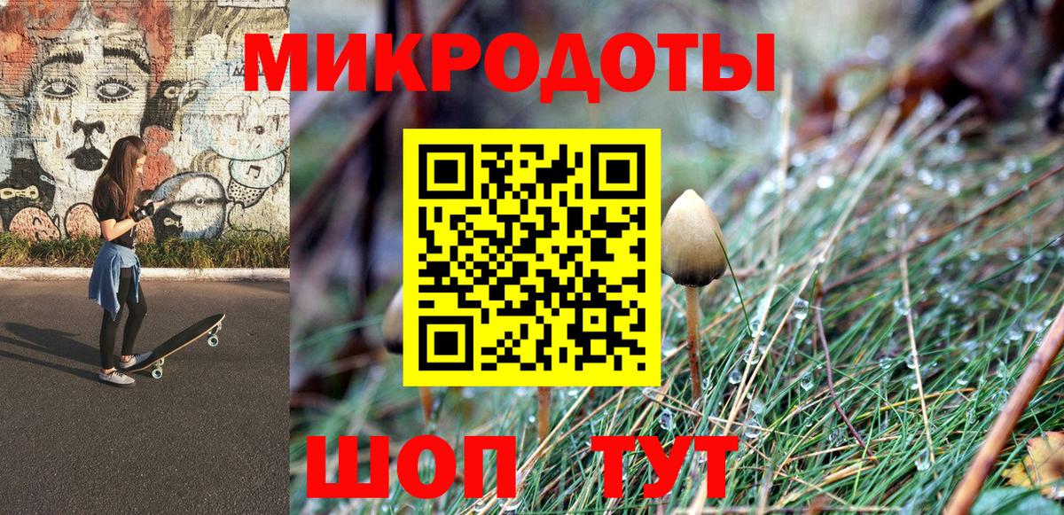 Псилоцибиновые грибы Psilocybe Находка