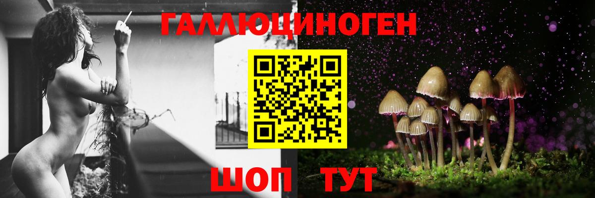 Псилоцибиновые грибы MAGIC MUSHROOMS  Псилоцибиновые грибы MAGIC MUSHROOMS  Вход с VPN  наркота  Находка 