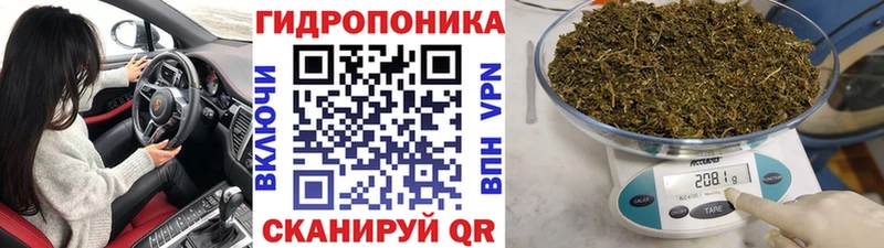 Бошки Шишки AK-47  Находка 